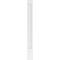 Ekena Millwork Raised Panel PVC Pilaster w/Standard Capital & Base, 9"W x 102"H x 2"P PILP09X102RP01-2 - alternate 3